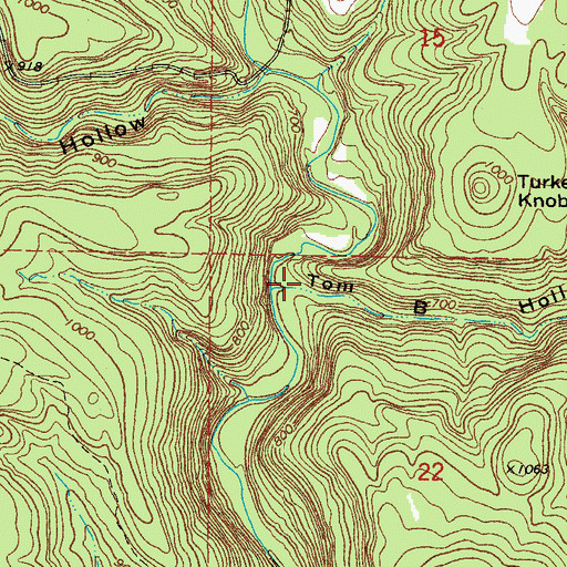 Topographic Map of Tom B Hollow, AR
