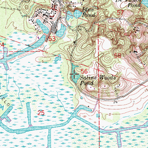 Topographic Map of Saline Wood Pond, LA