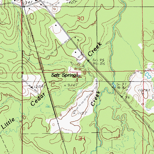 Topographic Map of Salt Spring, LA