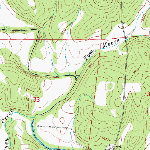 Topographic Map of Tom Moore Branch, AR