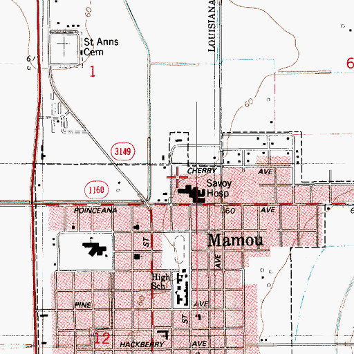 Topographic Map of Savoy Medical Center, LA