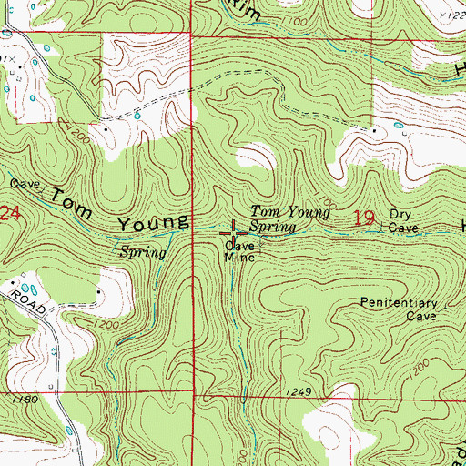 Topographic Map of Tom Young Spring, AR