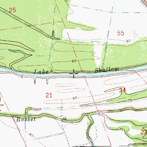 Topographic Map of Lake Shallow, LA