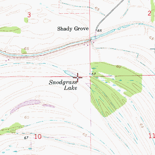 Topographic Map of Snodgrass Lake, LA