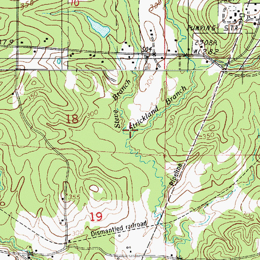 Topographic Map of Strickland Branch, LA
