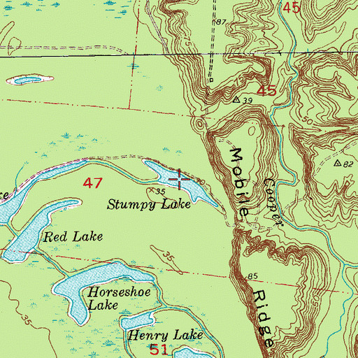 Topographic Map of Stumpy Lake, LA