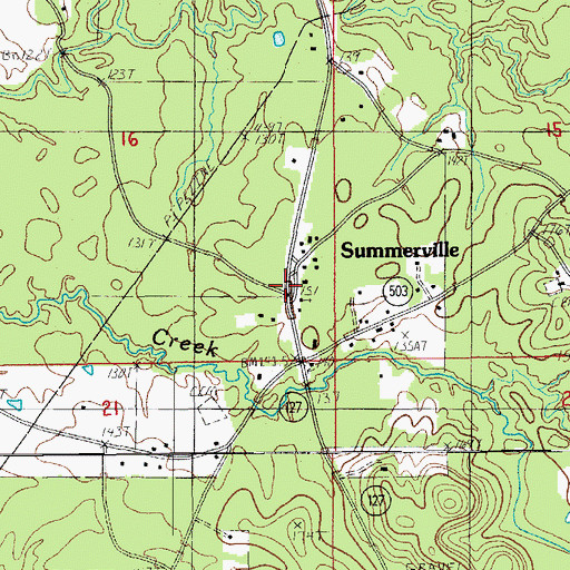 Topographic Map of Summerville, LA