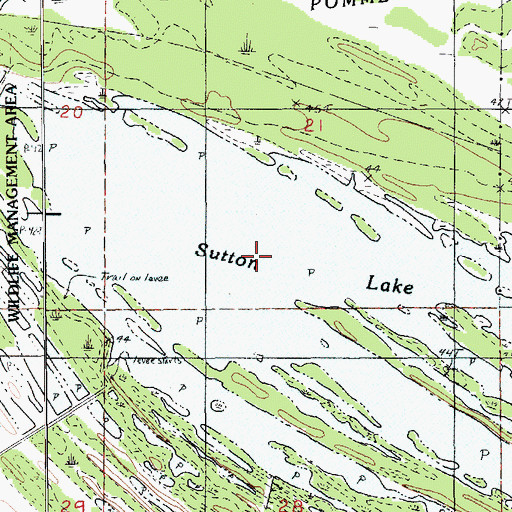 Topographic Map of Sutton Lake, LA