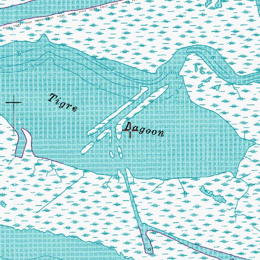 Topographic Map of Tigre Lagoon, LA