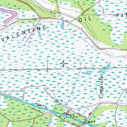 Topographic Map of Valentine Oil Field, LA