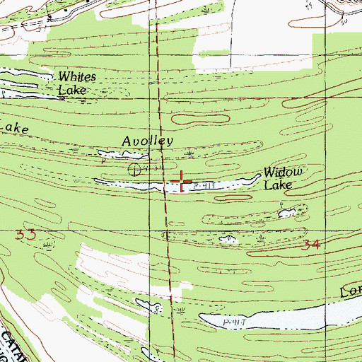 Topographic Map of Widow Lake, LA