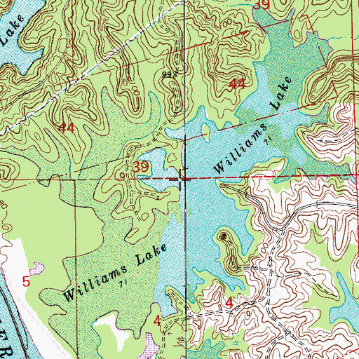 Topographic Map of Williams Lake, LA