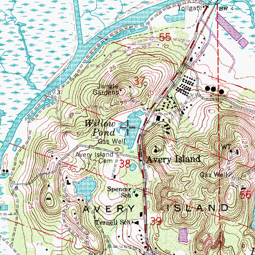 Topographic Map of Willow Pond, LA