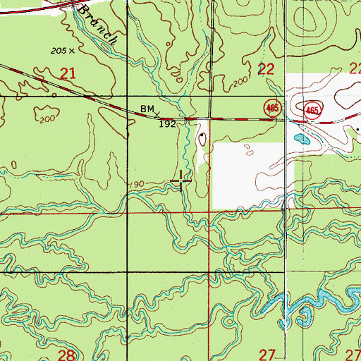 Topographic Map of Yellow Branch, LA