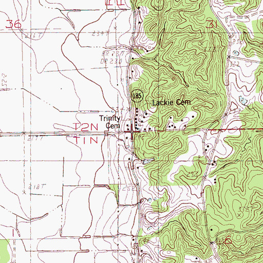 Topographic Map of Trinity Cemetery, AR