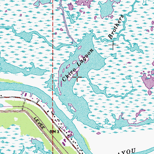 Topographic Map of Chico Lagoon, LA