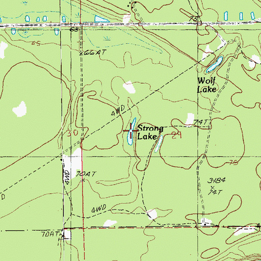 Topographic Map of Strong Lake, LA