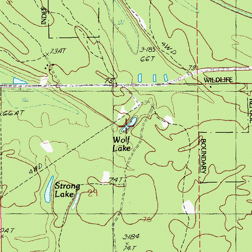 Topographic Map of Wolf Lake, LA