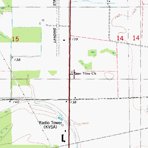 Topographic Map of True Vine Church, AR