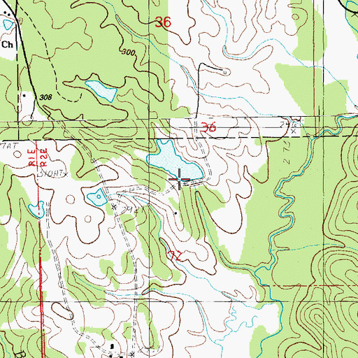 Topographic Map of Haynes Lake Dam, LA