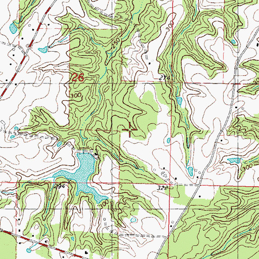 Topographic Map of Rogers Pond, LA