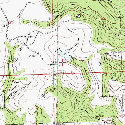 Topographic Map of Reedy Pond Dam, LA
