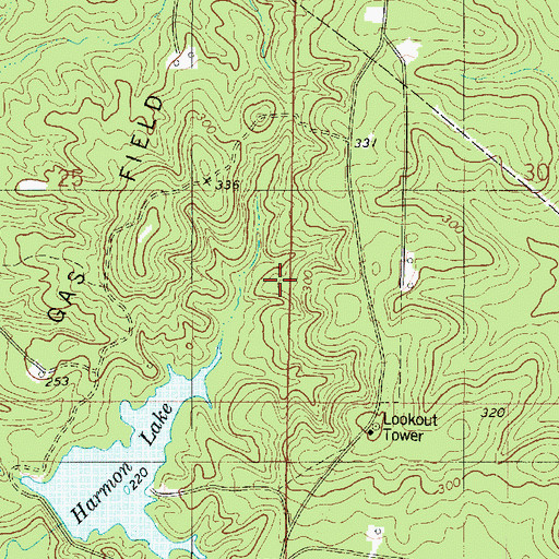 Topographic Map of Harmon Lake Dam, LA