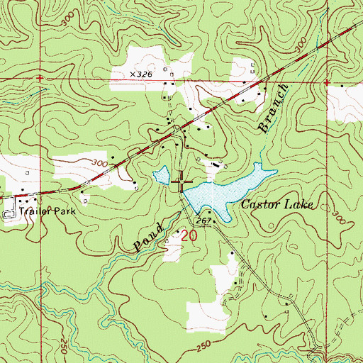 Topographic Map of Castor Lake Dam, LA