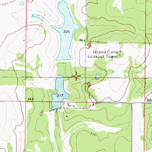 Topographic Map of Dwight Young Lake Dam, LA