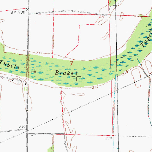 Topographic Map of Tupelo Brake, AR