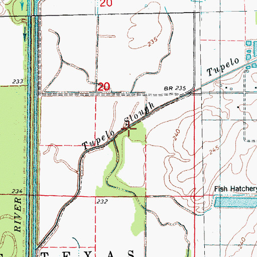 Topographic Map of Tupelo Slough, AR