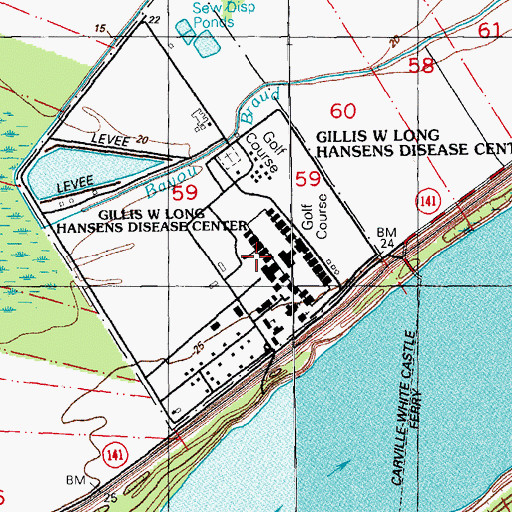 Topographic Map of Gillis W Long Hansens Disease Center, LA