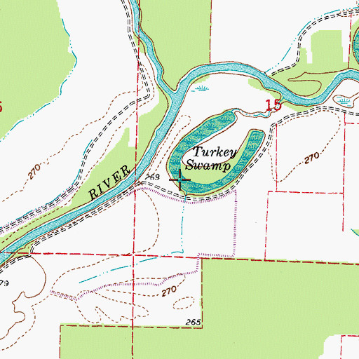 Topographic Map of Turkey Swamp, AR