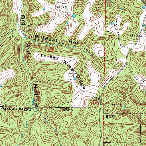 Topographic Map of Turkey Wing Ridge, AR
