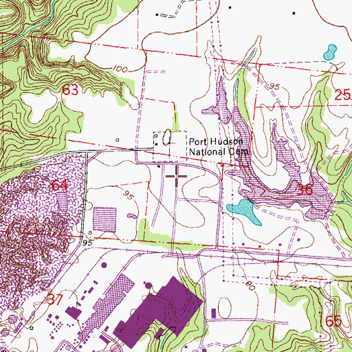 Topographic Map of Port Hudson Gas Field, LA