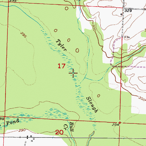 Topographic Map of Tyler Slough, AR