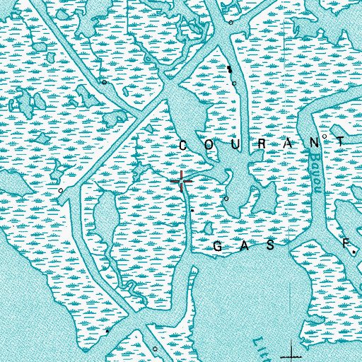 Topographic Map of Courant Bay Gas Field, LA