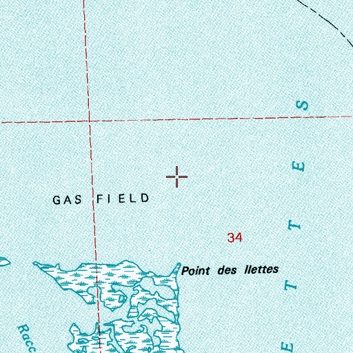 Topographic Map of Raccoon Lake Gas Field, LA