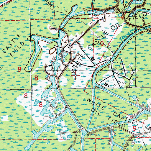 Topographic Map of White Castle Oil Field, LA