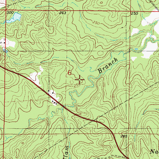Topographic Map of De Soto Parish, LA