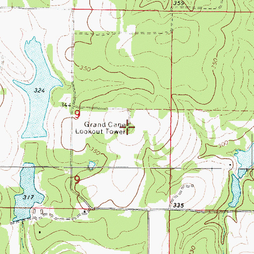 Topographic Map of Grand Cane Lookout Tower, LA