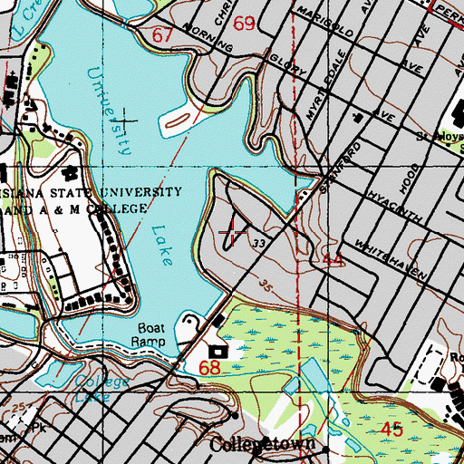 Topographic Map of Magnolia Ridge, LA