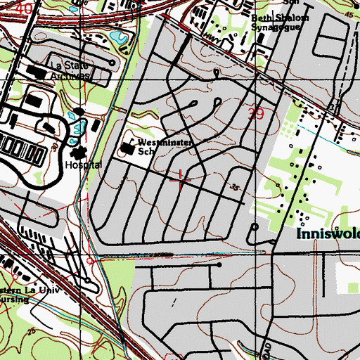 Topographic Map of Pine Park, LA