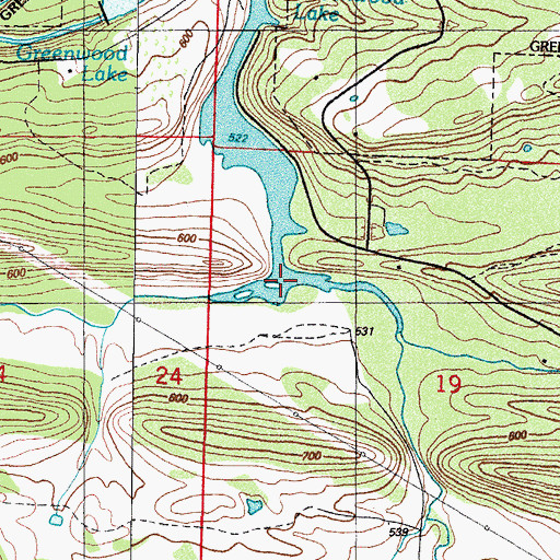 Topographic Map of Vineyard Creek, AR