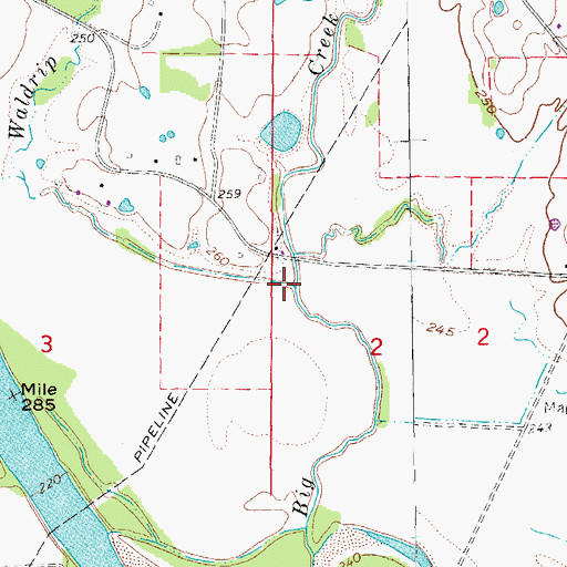 Topographic Map of Waldrip Branch, AR