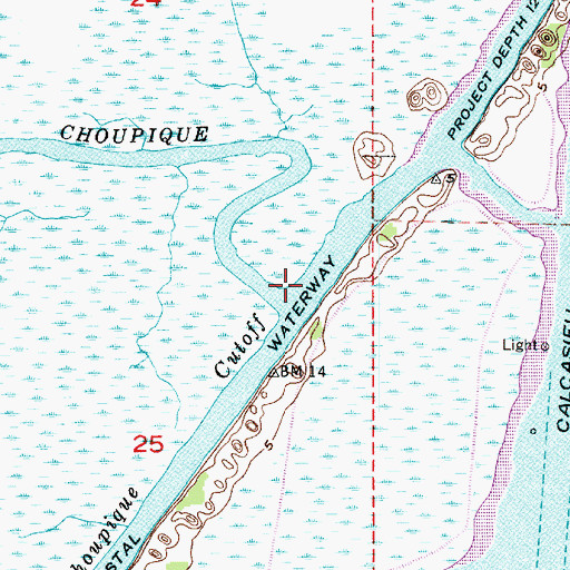 Topographic Map of Bayou Choupique, LA