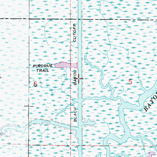 Topographic Map of Black Bayou Cutoff, LA