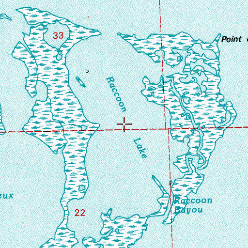 Topographic Map of Raccoon Lake, LA