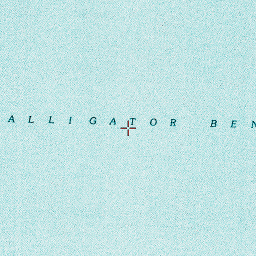 Topographic Map of Alligator Bend, LA