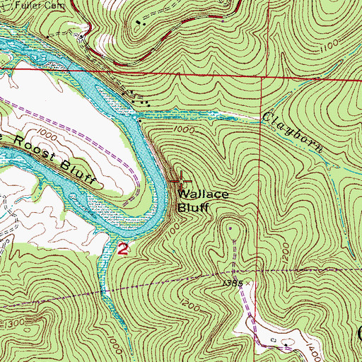 Topographic Map of Wallace Bluff, AR